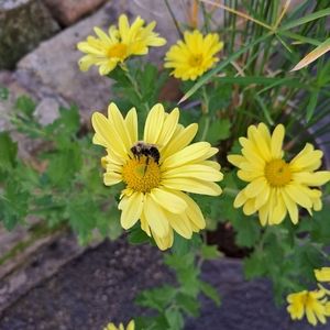 Meet your Posher, Melinda